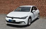 Volkswagen Golf VIII weiss - Volkswagen Golf: Weis