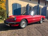 Alfa Romeo Spider  H-Kennzeichen - Alfa Romeo Spider aus 1986