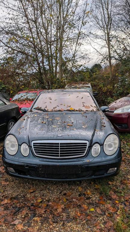 Mercedes-Benz E 220