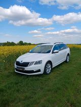 Skoda Oktavia 2.0 TDI - Skoda: Oktavia