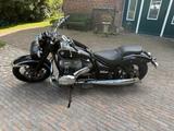 BMW R18 First Edition | Ex Sammlerbestand, 700km - Motorräder in Oldenburg