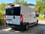 Fiat Ducato - Fiat Ducato in Freiburg