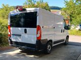 Fiat Ducato - Fiat Ducato: Kombi