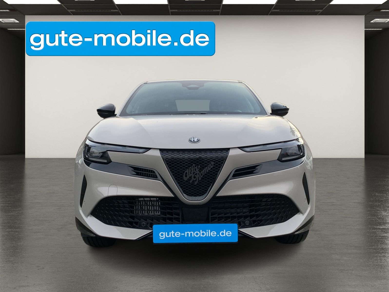 Alfa Romeo Junior - Bild 20