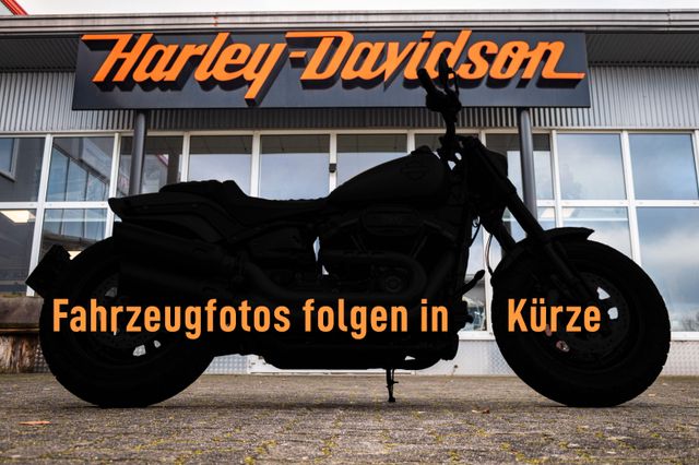 Fahrzeugabbildung Harley-Davidson Softail Heritage Classic FLSTC 103 - GEPFLEGT