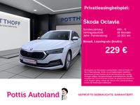 Skoda Octavia - Vorschau Bild 1