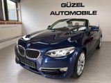 BMW 230i Cabrio Luxury Line/NAVI/KAM/ACC/LEDER/LED - : Cabrio, Luxury