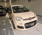 Fiat Panda 1.3 MJT 95 CV S&S Lounge - mit Diesel-Antrieb: Beige, Kleinwagen