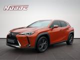 Lexus UX 200 Executive Line *Navi+Leder+Allwetter* - Lexus Gebrauchtwagen in Hannover