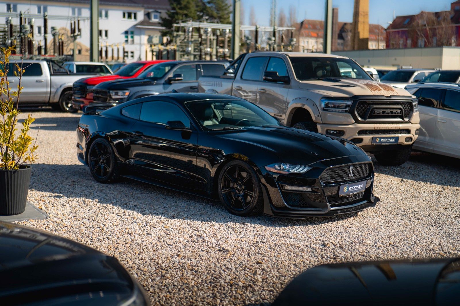 Fahrzeugabbildung Ford Mustang Shelby GT 500 5.0 V8 Performance PREMIUM