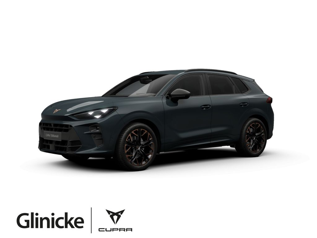 Cupra Terramar 2.0 TSI DSG VZ 4Drive 20" Matrix