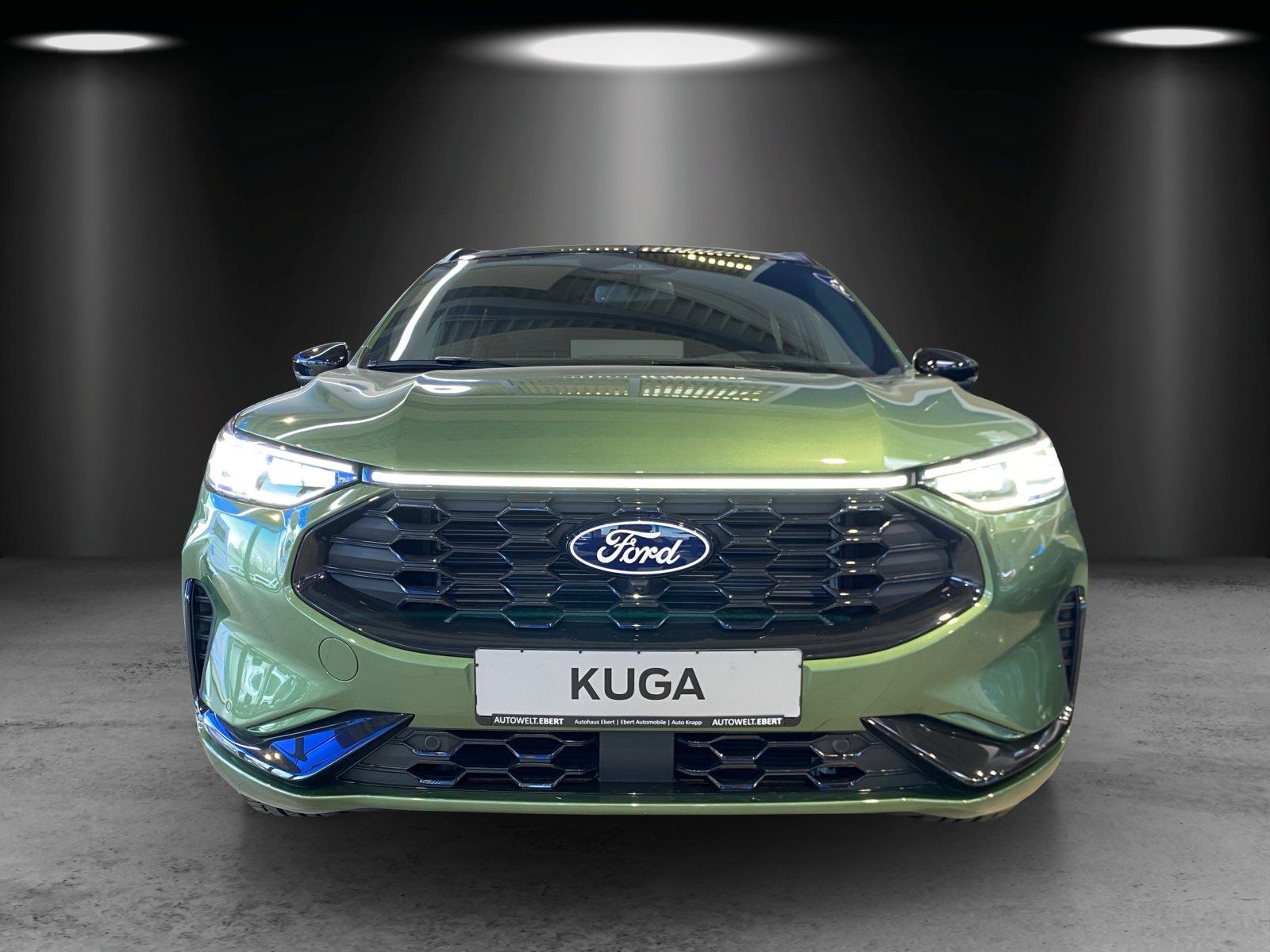Fahrzeugabbildung Ford Kuga ST-Line X Black Package LED Matrix AHK Wint