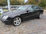 Mercedes-Benz CLK 240 - Rostfrei, Leder, Klima, uvm - schwarze Mercedes-Benz CLK 240