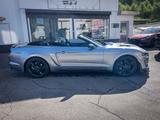Ford Mustang 5.0 GT V8*LED*PREMIUM*MEMORY*GARANTIE - Ford Mustang mit Benzin-Antrieb: Cabrio, 5.0