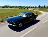 Ford Mustang 1966 C-Code V8 | H-Zulassung | Neuteile - Ford Gebrauchtwagen von 1966