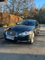 Jaguar XF 3.0 V6 Diesel Luxury Luxury - Jaguar XF aus 2010: Luxury