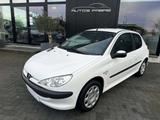 Peugeot 206 1.4 i Benzine 75pk 1 er prop - Peugeot 206 aus 2005: 1.4