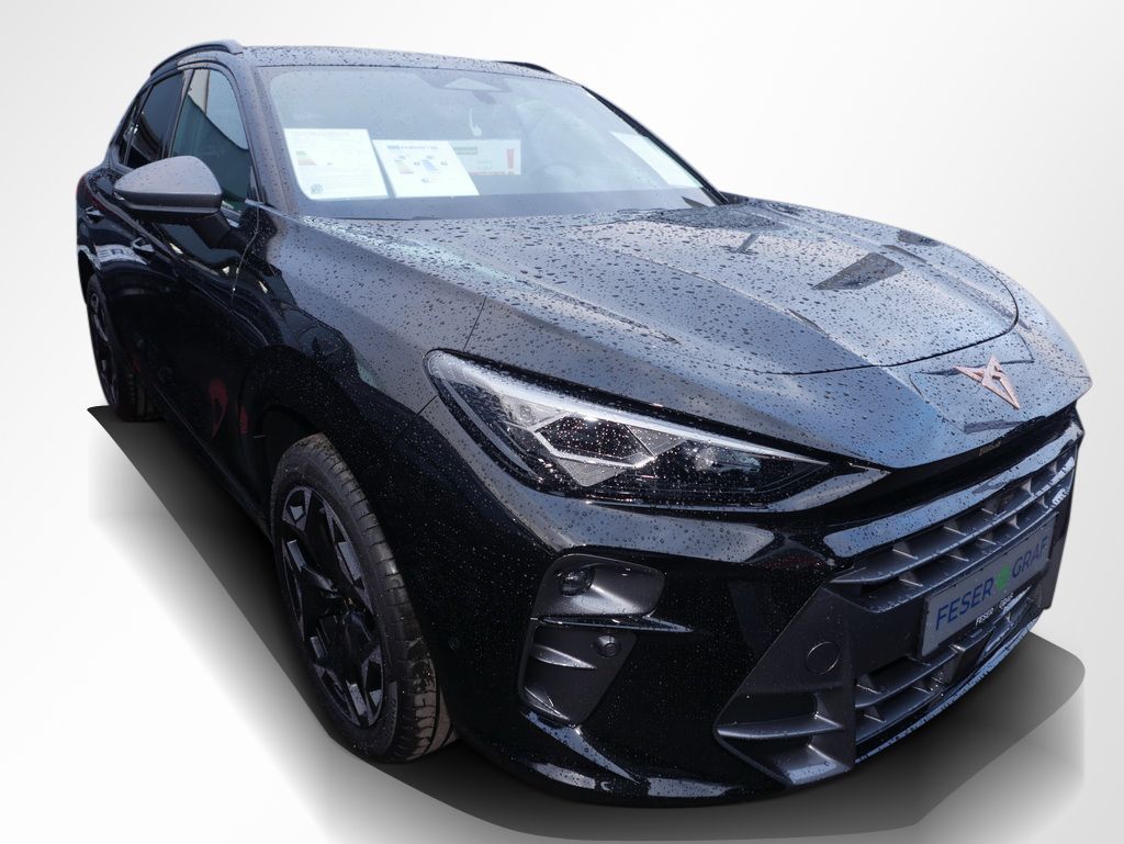 Cupra Terramar - Bild 2