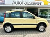 Fiat Panda 1.2 8V Climbing 4X4 *1.Hand+AHK+Allrad* - Fiat Panda in Wiesbaden