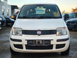Fiat Panda 1.2 8V MyLive - Fiat Panda in Ludwigshafen