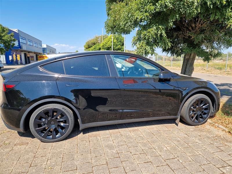 Image of Tesla Model Y