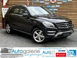 Mercedes-Benz ML 350 CDI BlueTec Schiebedach Navi AHK - Mercedes-Benz ML 350 in Hannover