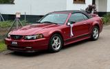 Ford Mustang Cabrio - Ford Gebrauchtwagen von 2000