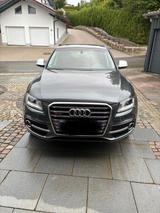 Audi SQ5 3.0 TDI competition tiptronic quattro - - Audi SQ5: Allradantrieb