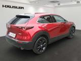 Mazda CX-30 Homura 2.5L e-Skyactiv G *Navi* *Klimaauto - Mazda CX-30: Homura