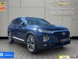 Hyundai SantaFe Premium 4WD 2.2CRDi HuD AHK Kamera 4xSHZ - Hyundai: Santa