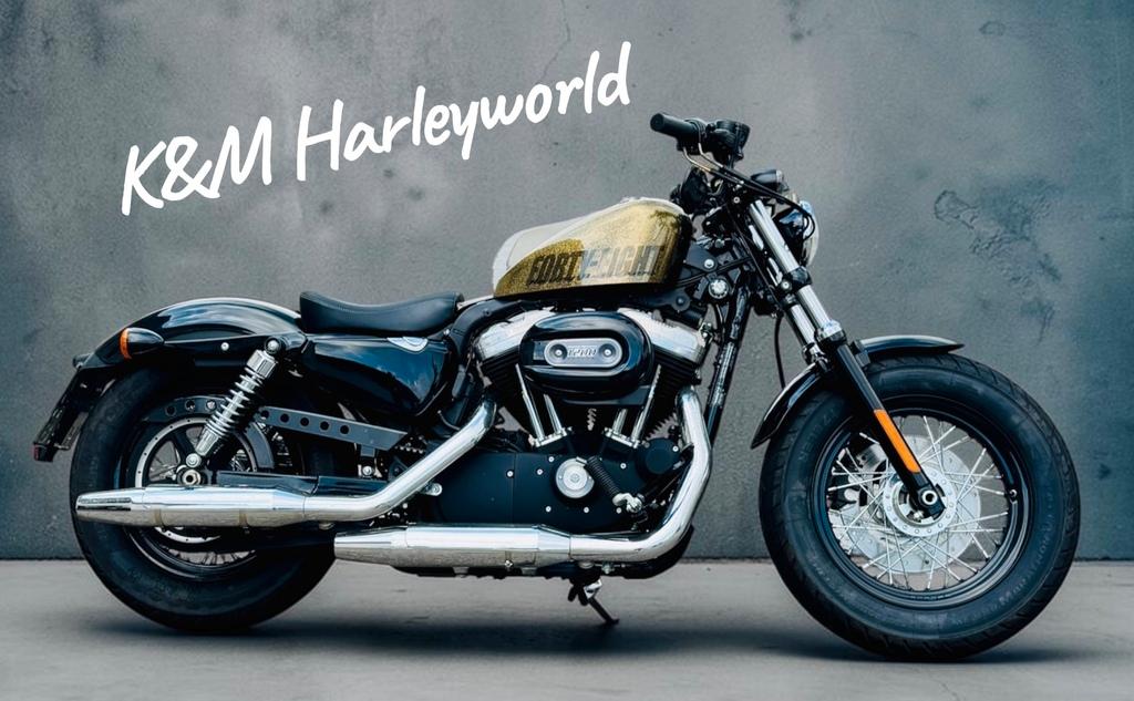 Harley-Davidson Forty Eight Top gepflegt und gewartet