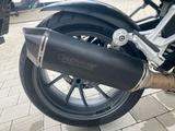 BMW R1250 TS Triple Black