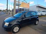 Fiat Panda 1.1 8V Active*KLIMA*TÜV NEU*S-HEFT*100TKM* - gebrauchte Fiat Panda aus dem Jahr 2009