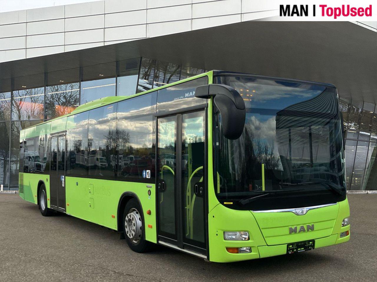 MAN LION'S CITY / A21