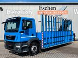 MAN TGM 18.290 | Hegla Glastransporter*HIAB 138E2*AC - MAN Gl