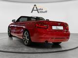 BMW 220i Cabrio BI-XENON LEDER PDC BT NAV SHZ TEMP - BMW Gebrauchtwagen in Ludwigsburg