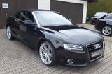 Audi A5 Cabriolet 3.0 TDI quattro S-LINE/20"ALU - Audi: Cabrio, 3.0