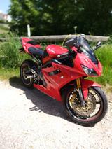 Triumph Daytona 675 - TRIUMPH DAYTONA 675