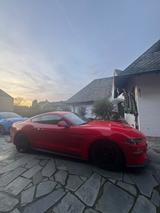 Ford Mustang 5.0 KW-V3, Frontkamera etc. - Ford Mustang Gebrauchtwagen in Duisburg