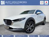 Mazda CX-30 2.0l "X" "DES-P" "ACT-P" "GSD" "BOSE" - Mazda CX-30 mit Schiebedach