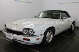Jaguar XJS 4.0 Convertible DACH & LEDER NEU - Jaguar XJS: 4.0