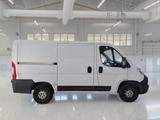Fiat FIAT Ducato 30 2.0 MJT PC-TN Furgone - Fiat Ducato mit Diesel-Antrieb: 3.0