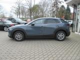 Mazda CX-30 2.5L e-SKYACTIV G 140 6MT Homura - Mazda CX-30 in Dresden