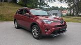 Toyota RAV 4 2,0-l-VVT-i Team Deutschland 4x4 Team D - Toyota: X