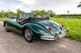 Jaguar XK 140 DHC SE - Jaguar XK aus 1955: Xk140