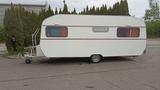 Wilk Stern 530 - Wilk Stern