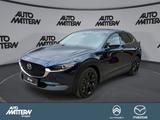 Mazda CX-30 2.0 SKYACTIV-G M Hybrid 150 Homura Pre-P - Mazda CX-30 in Bielefeld