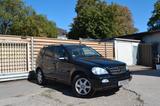 Mercedes-Benz ML 500 *2.HAND*XENON*BOSE*WENIG KM*LEDER*eGSD* - Mercedes-Benz ML 500 Gebrauchtwagen