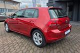 Volkswagen Golf VII Lim.  TGI * BENZIN 50 lt TANK und GAS - Volkswagen Golf: Tgi