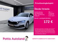 Skoda Octavia - Vorschau Bild 1